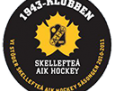 skellefteaaik